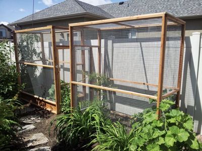 Aviaries