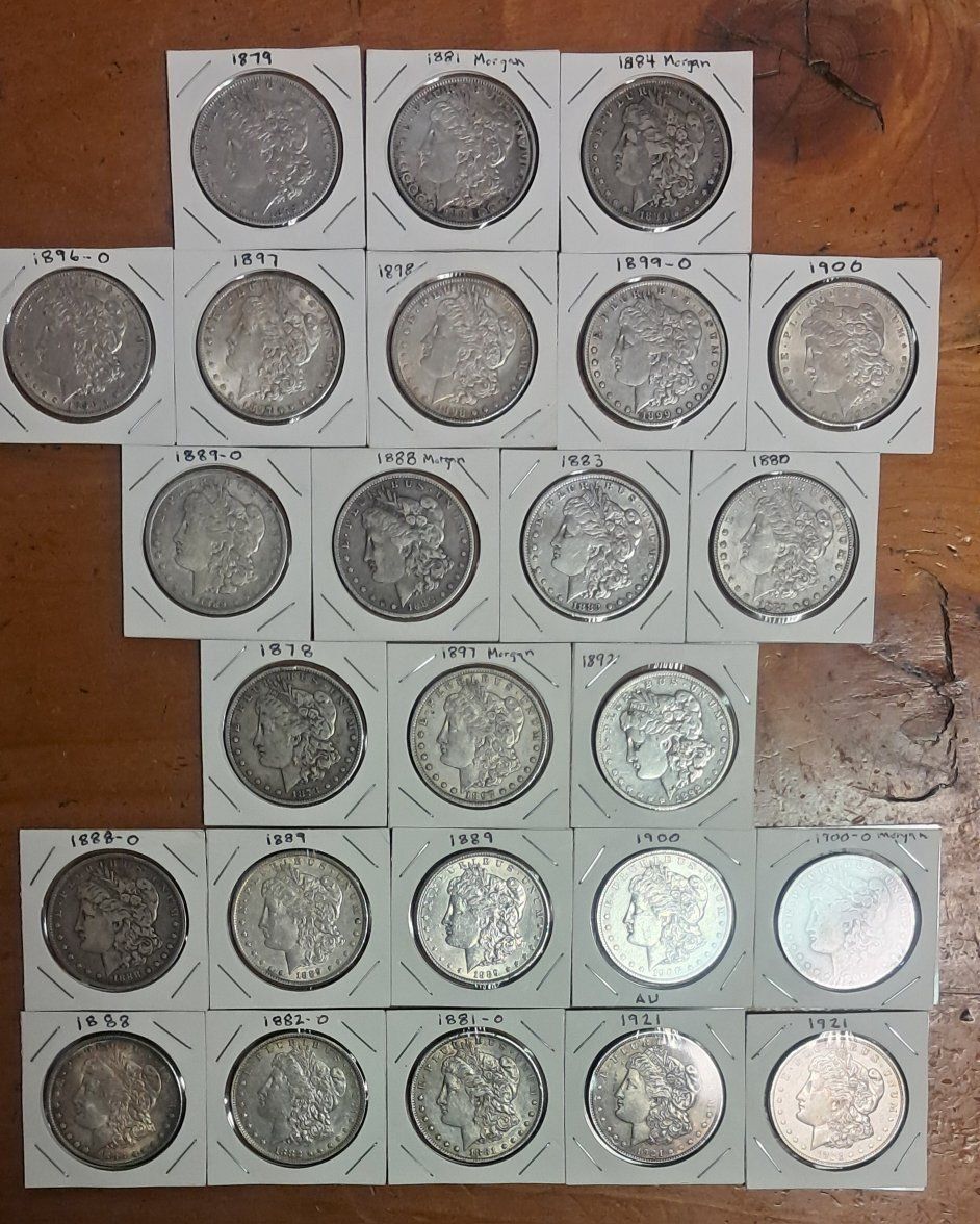 Morgan Silver Dollar Coin Collection 