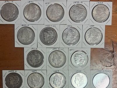 Morgan Silver Dollar Coin Collection