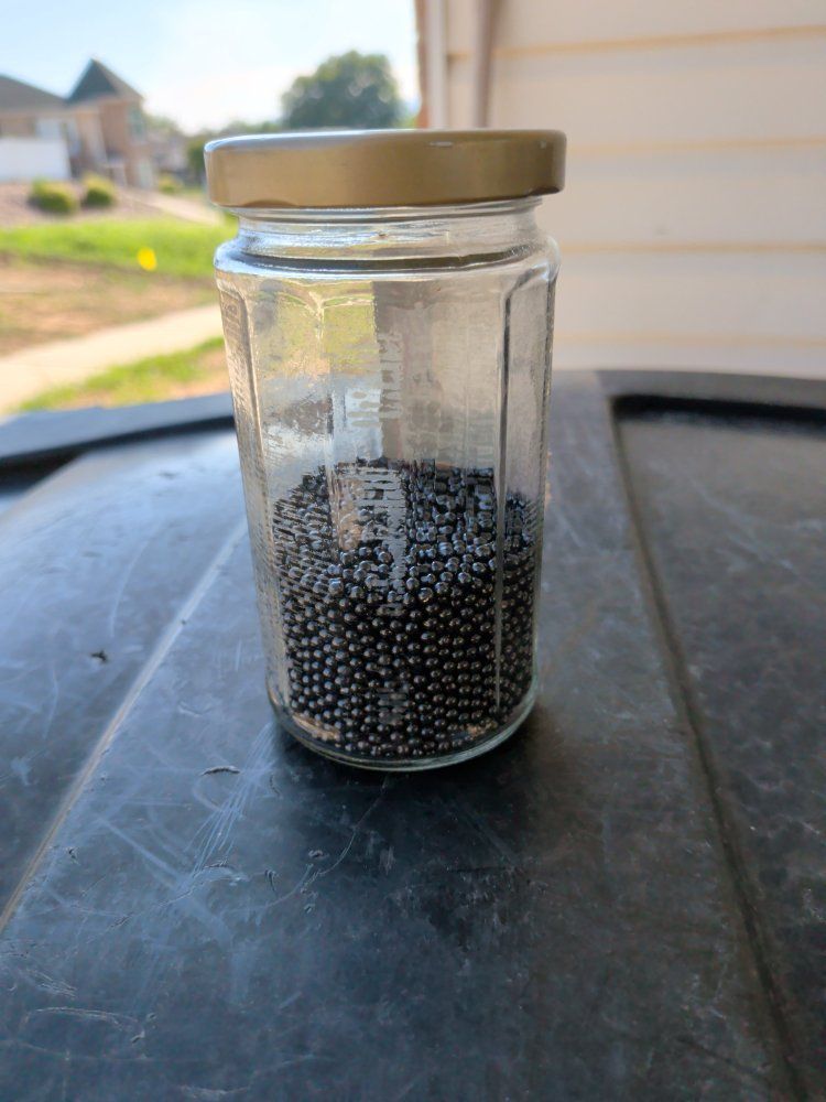 number six shotgun birdshot pellets