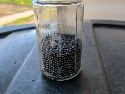 number six shotgun birdshot pellets