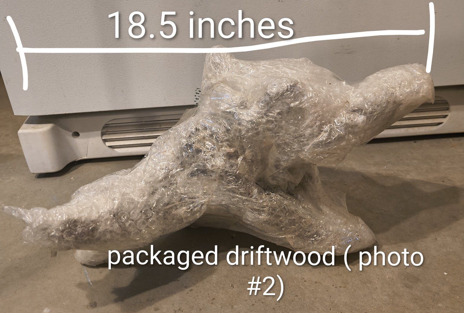 Main image 5