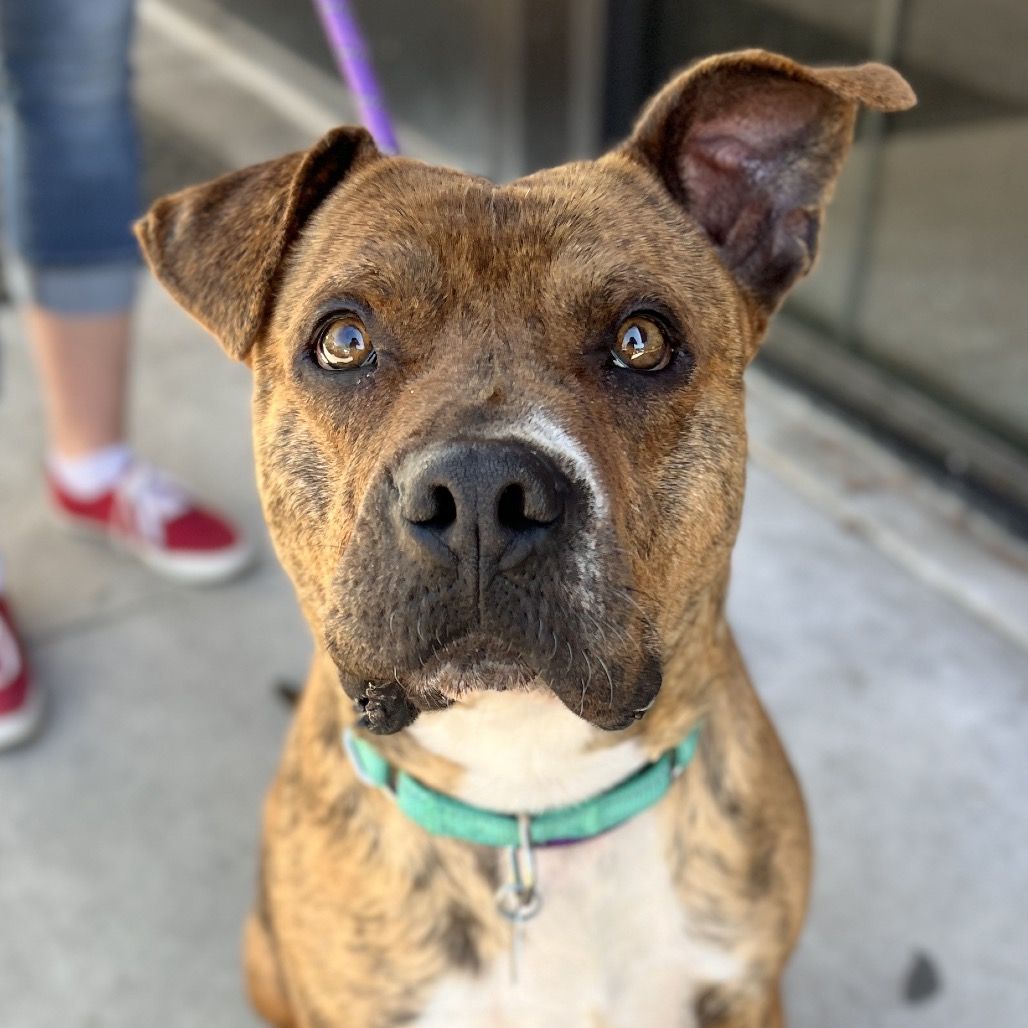 Hello my name is Julian