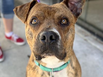 Hello my name is Julian