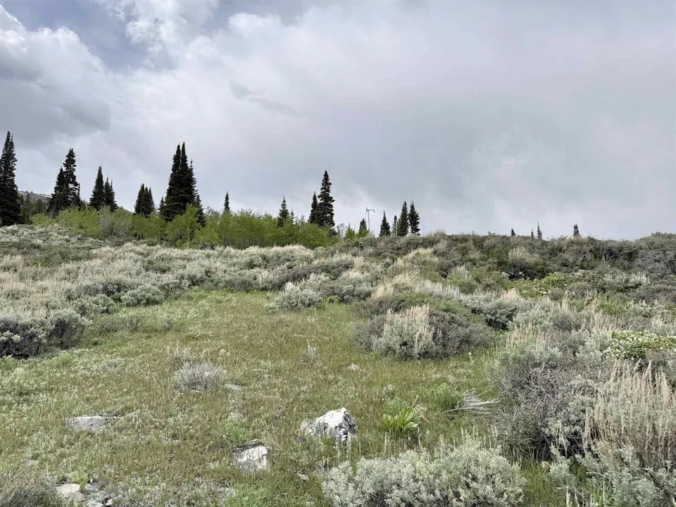 Main image 15