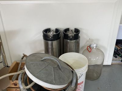 2 Corny Kegs