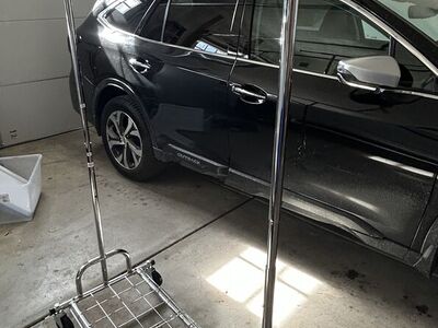 Heavy Duty Rolling Clothes Rack.