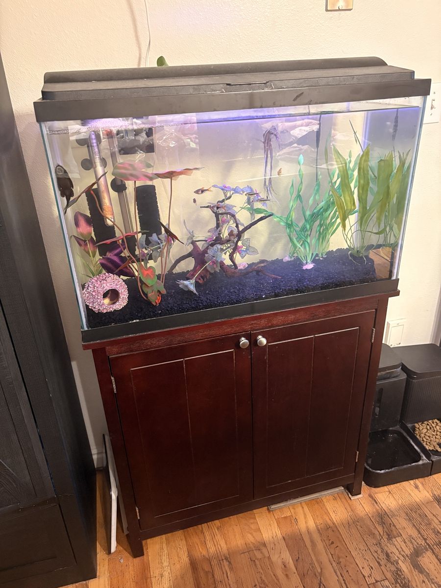 40 gal tall tank full setup!