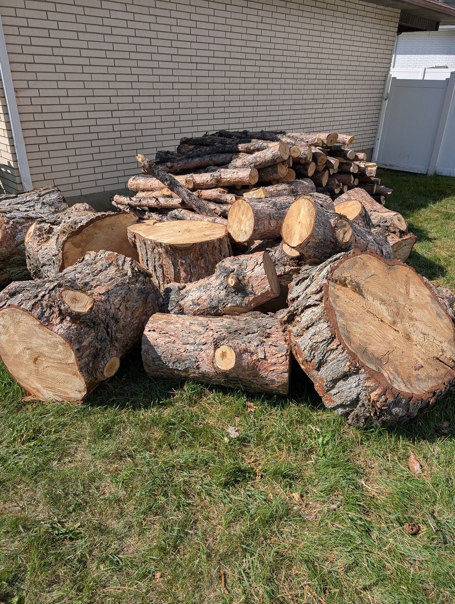 Firewood, Carving Wood  FREE