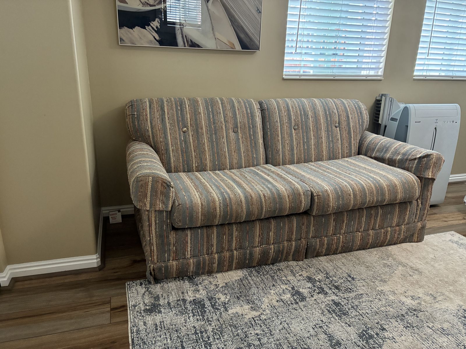 FREE Sofa sleeper - full size