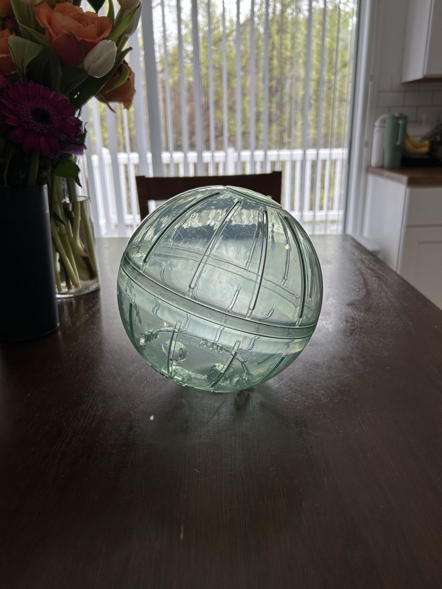 Hamster Ball