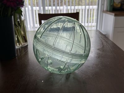 Hamster Ball