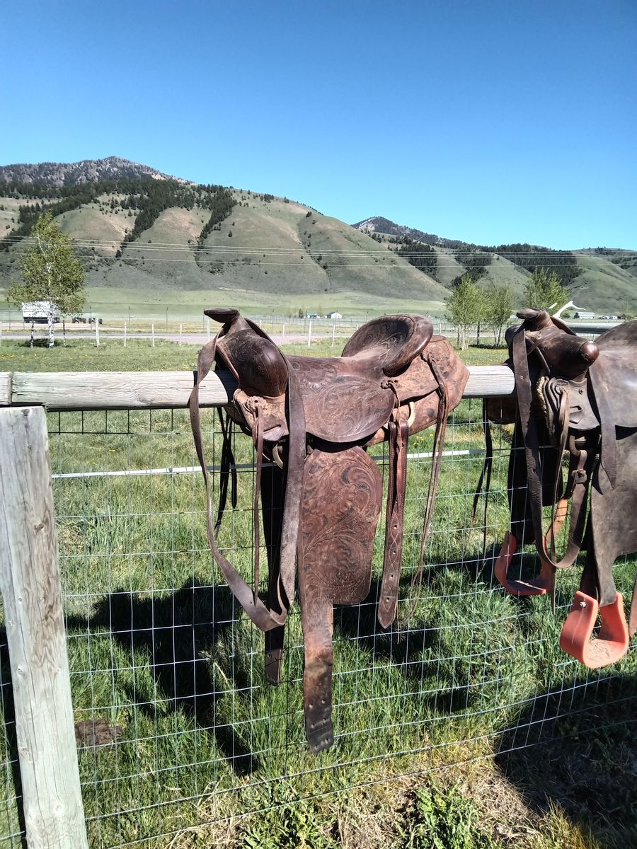 Saddle