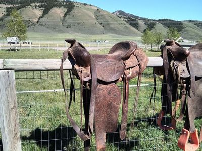 Saddle