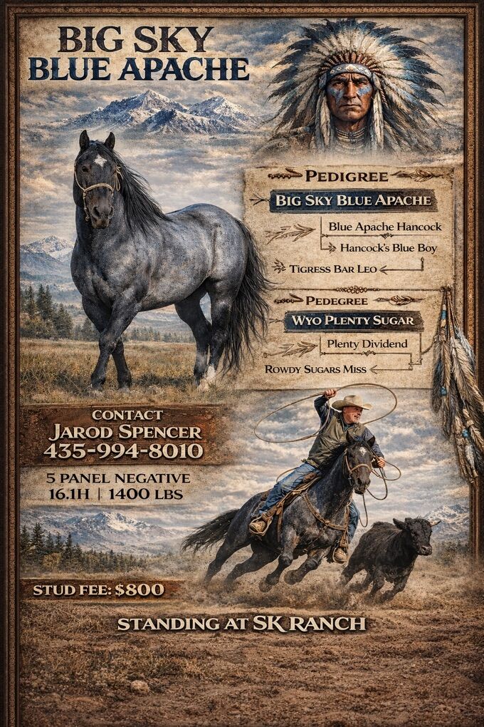 Big Sky Blue Apache Book For 2026 Now