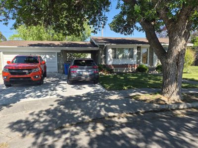 Basement apartment for rent