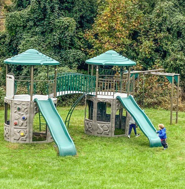 Lifetime Double Adventure Tower with Monkey Bars