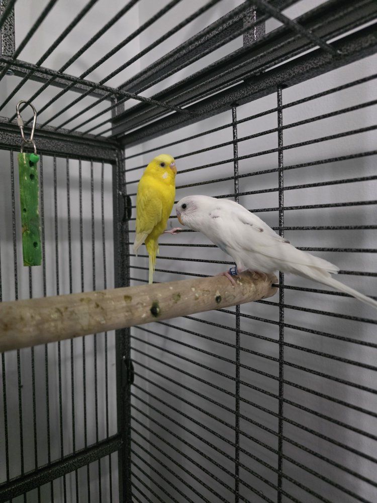 Main image 2