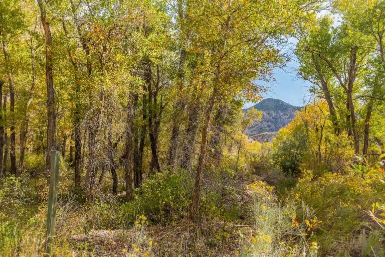 Sevier 10-Acre Scenic Development Opportunity - Lot 3