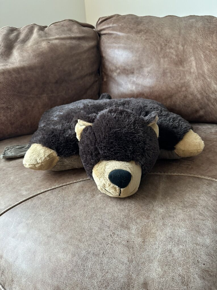 Bear Pillow Pet