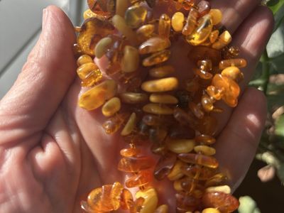 New Baltic Amber Necklace - Lightweight, 34" Long