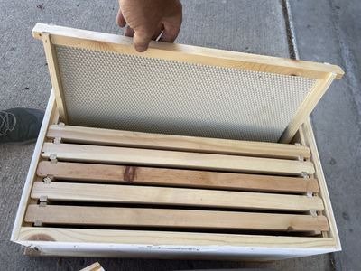 Beekeeping starter kit