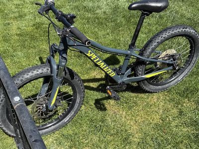 Kids Specialized RipRock 20”