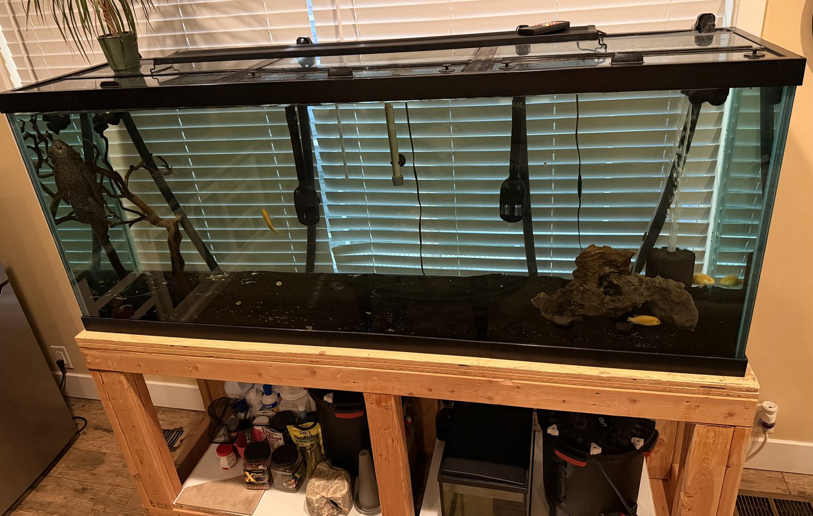 150 gallon Fish Tank With Stand