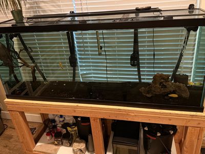 150 gallon Fish Tank With Stand