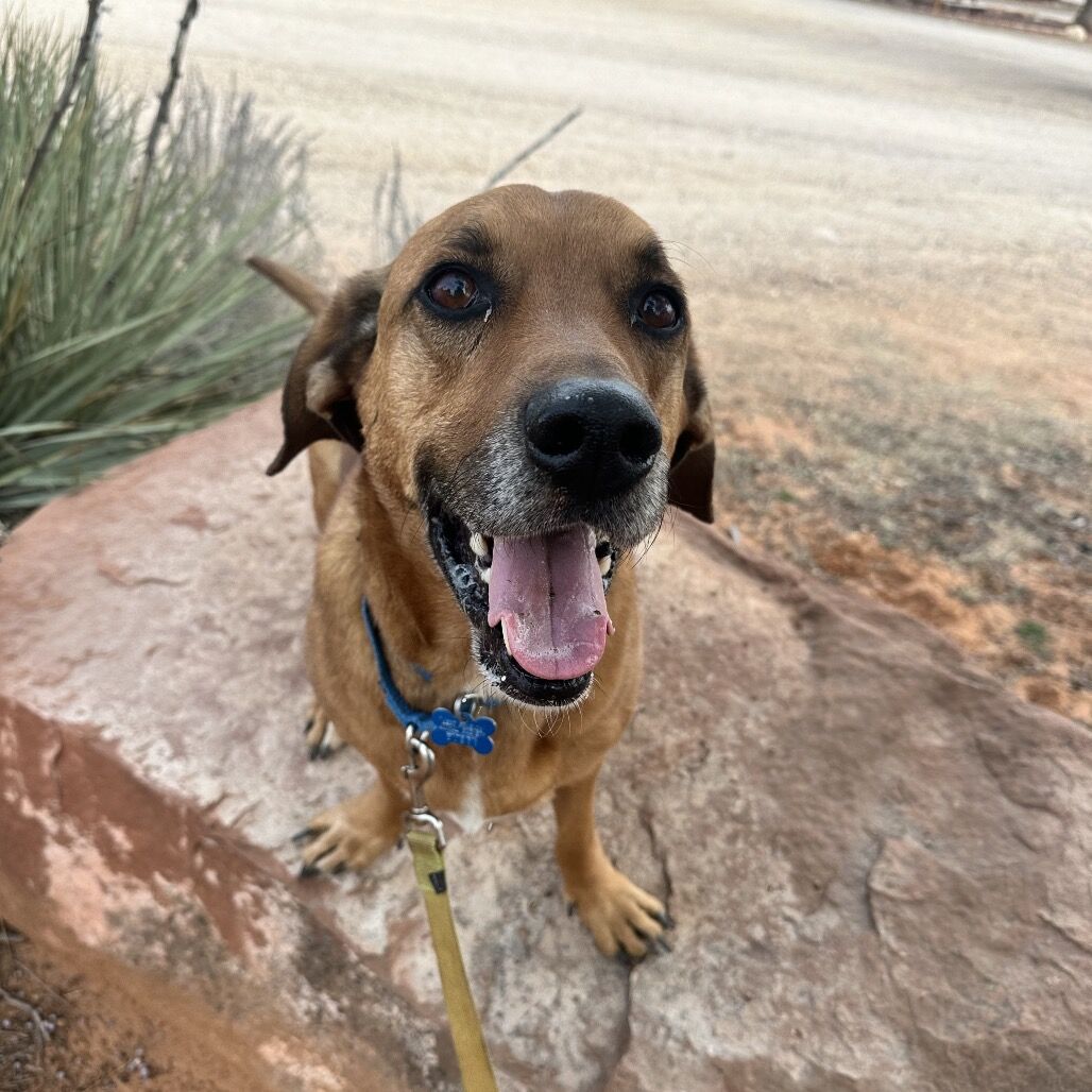 Hello my name is Brad