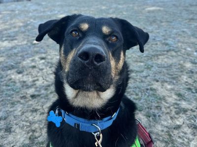 Hello my name is Finley