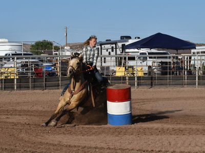 Grade Buckskin Gelding - Fuego - Barrel Racing, Poles, Breakaway & Trails