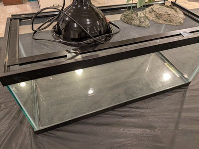 Reptile glass tank