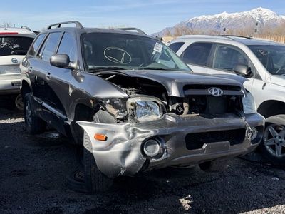 2006 Hyundai Santa Fe Parts