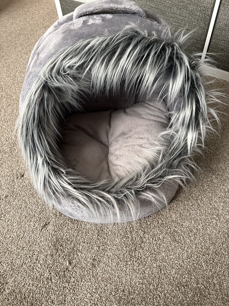Pet Bed