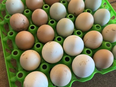 Farm Fresh Eggs