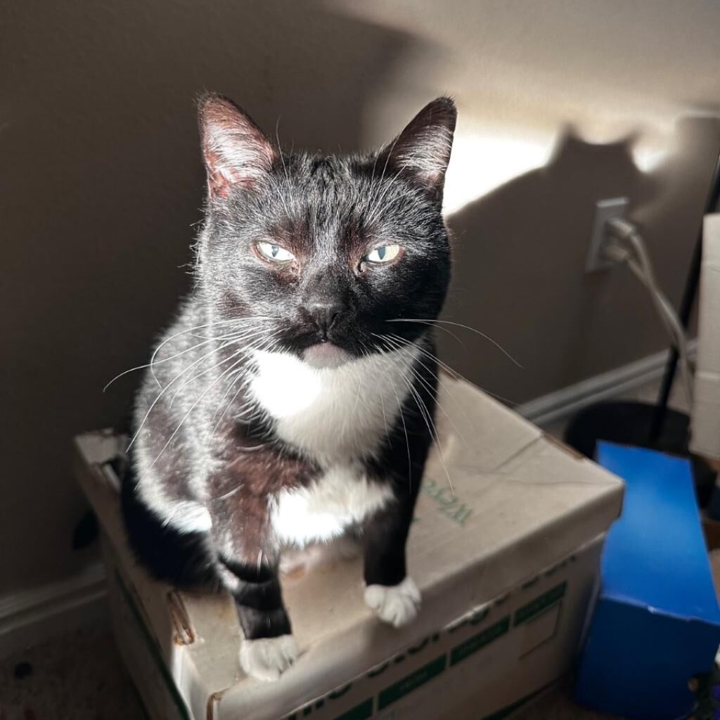 Hello my name is Daisy