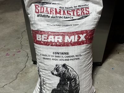 Bear Bait Bear Food