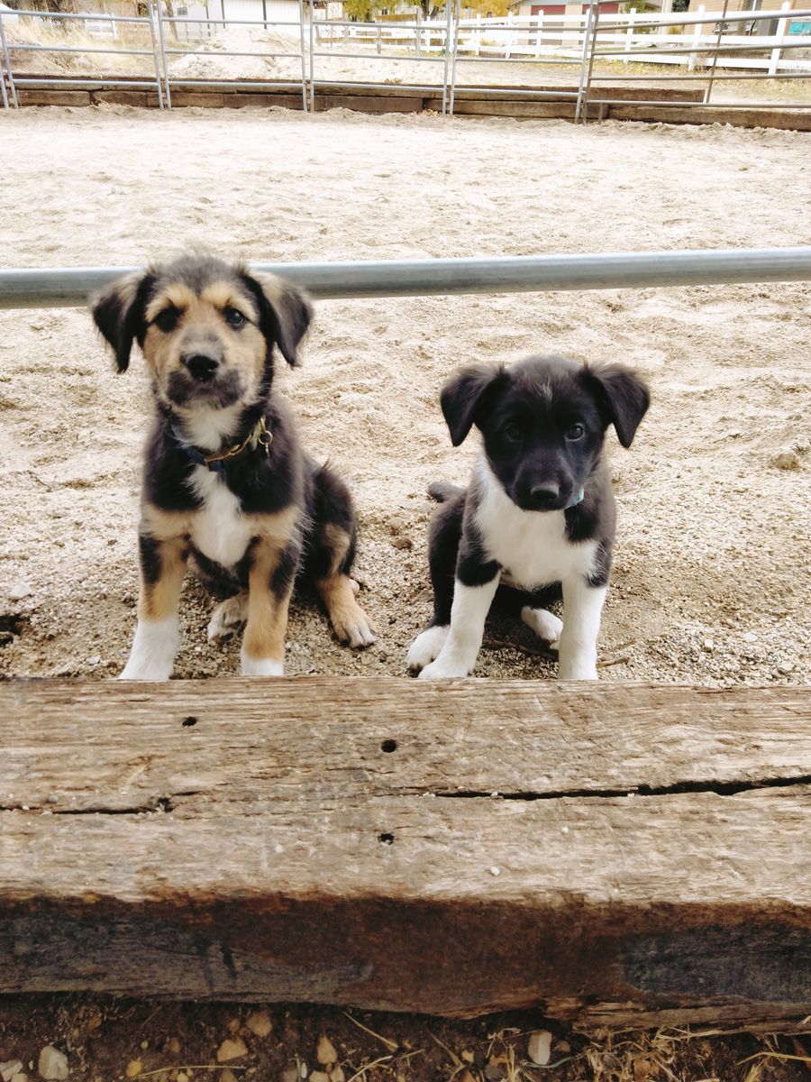 Yard Sale Garage Sale Saturday 3/28 at 9:00 a.m. start time.