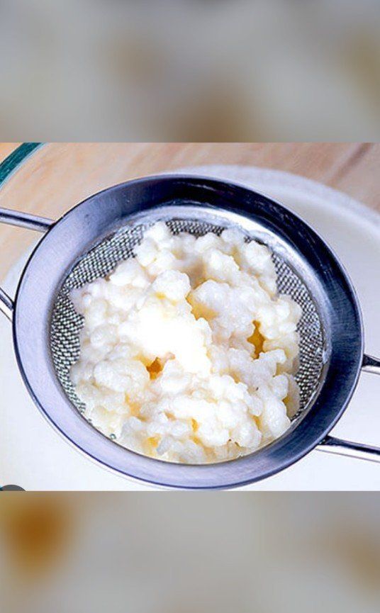 Organic milk kefir grains