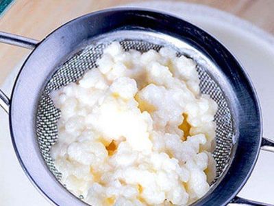 Organic milk kefir grains