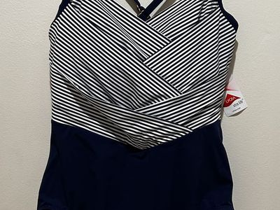 NWT Lands End Slendersuit Blue & White Seimsuit 14