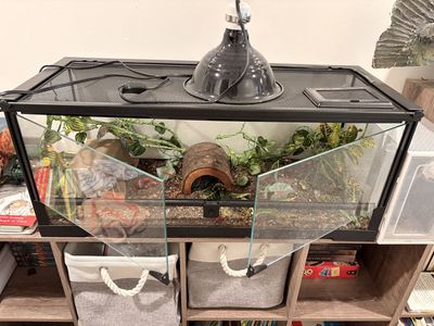 tank