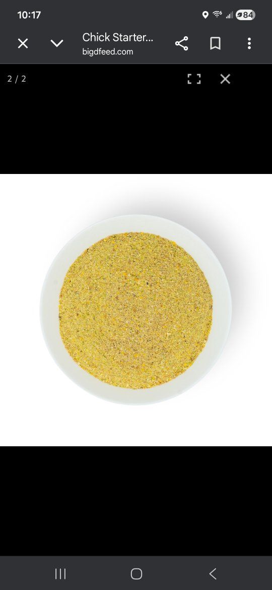 chick starter 18% feed