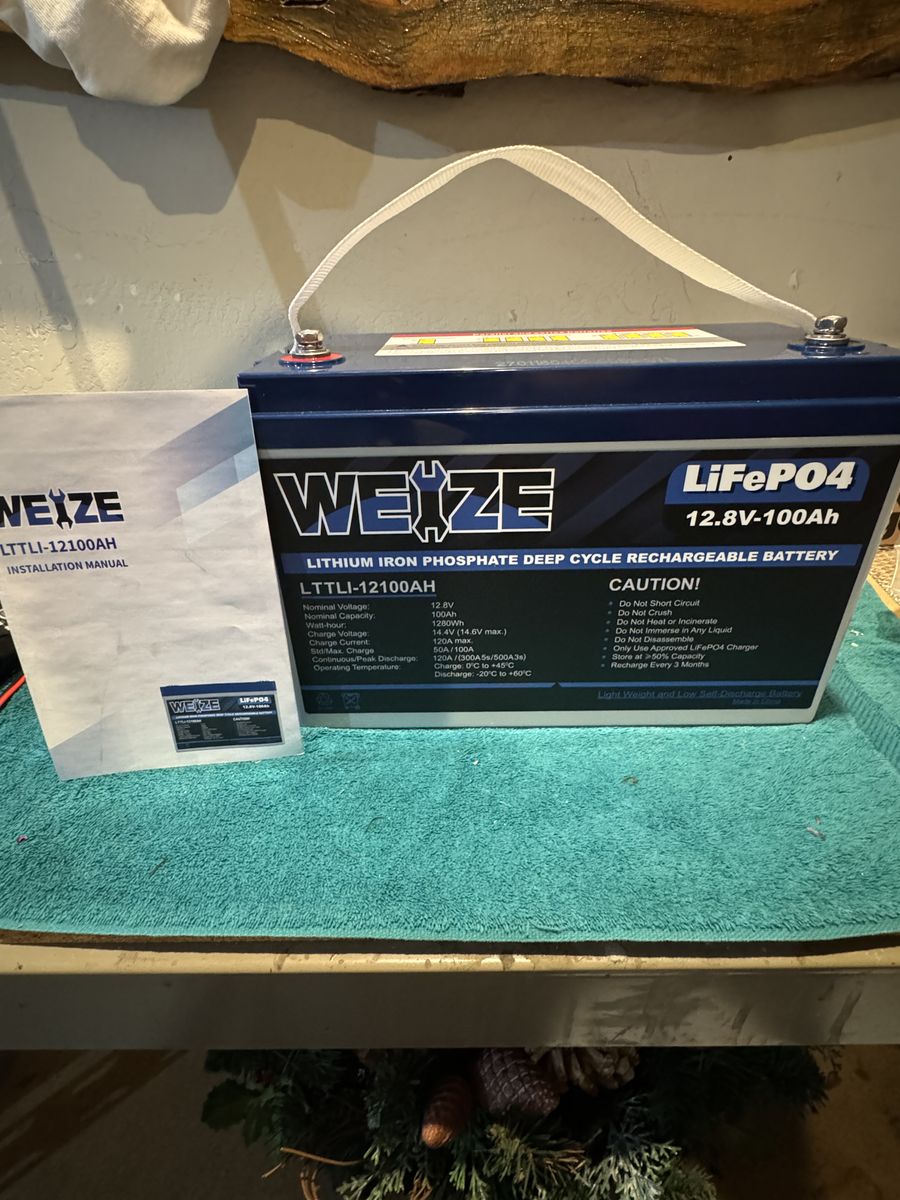 Weize 12V 100Ah LiFePO4 Battery