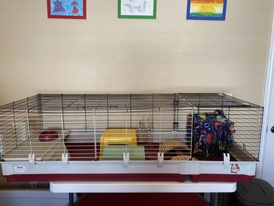COMPLETE Setup For Guinea Pigs Or Small Rabbit