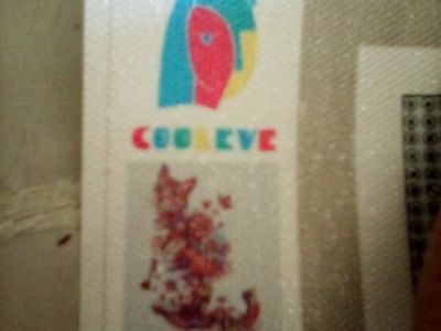 Coo & Eve LV-C008 30x40cm DIY Diamond Art Painting Kit - Floral Cat Design