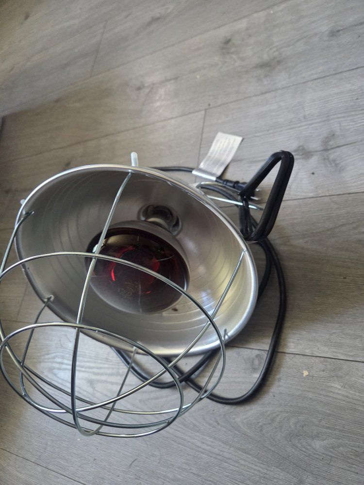 Clamp-On Heat Lamp with Metal Guard and Heat Bulb