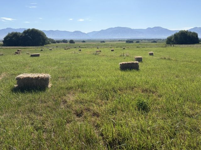 Main image 2