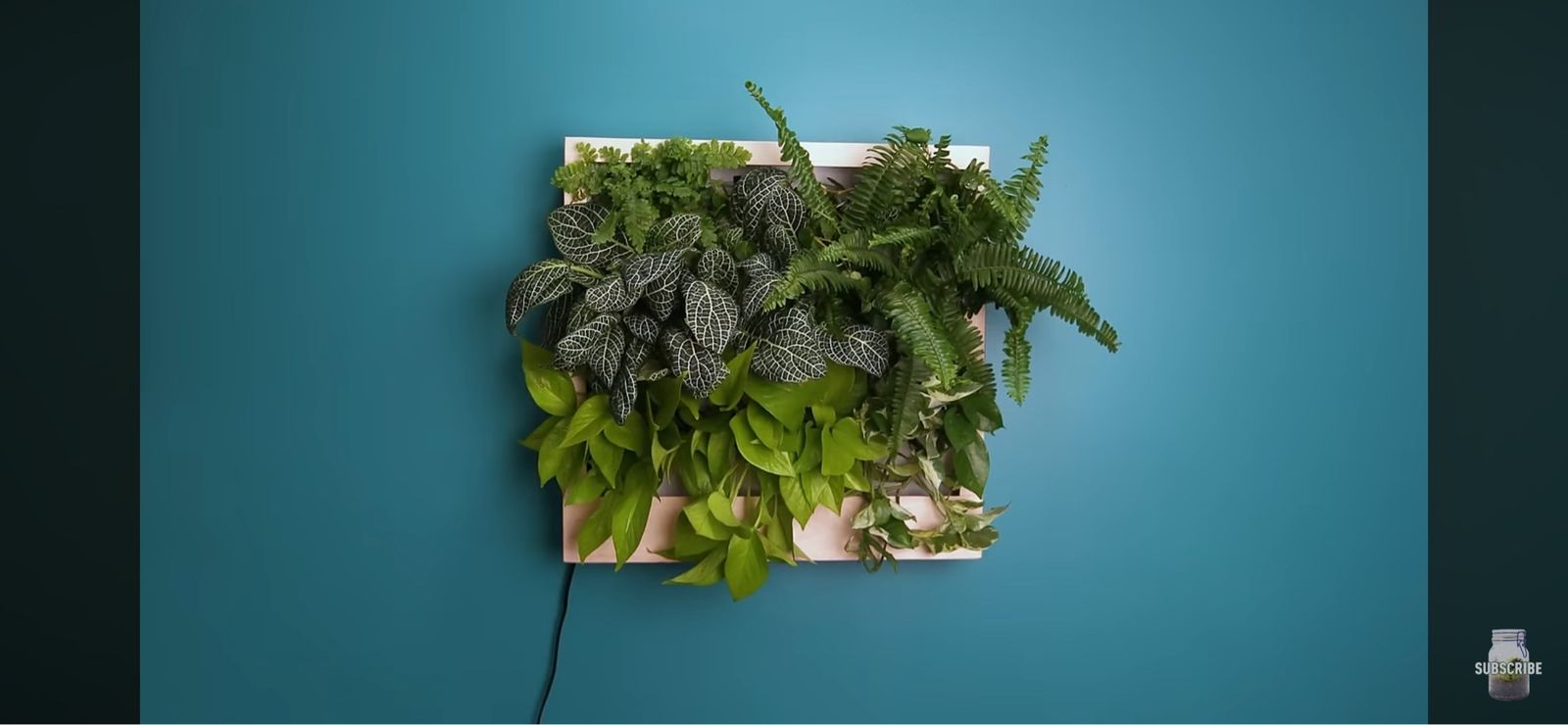 Wall hanging self watering planter box